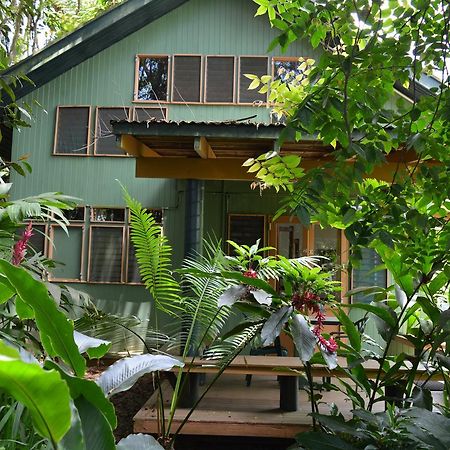 Rainforest Eco Lodge Suva Exteriör bild