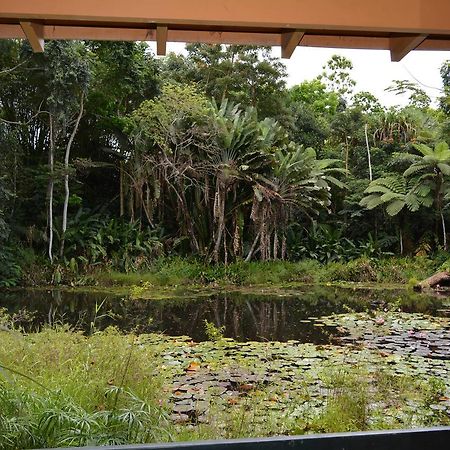 Rainforest Eco Lodge Suva Exteriör bild
