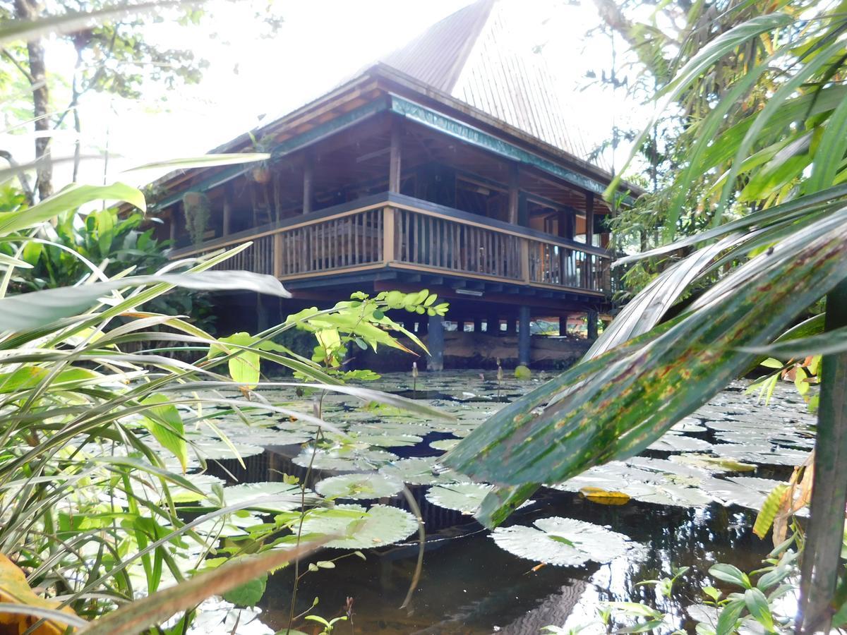 Rainforest Eco Lodge Suva Exteriör bild