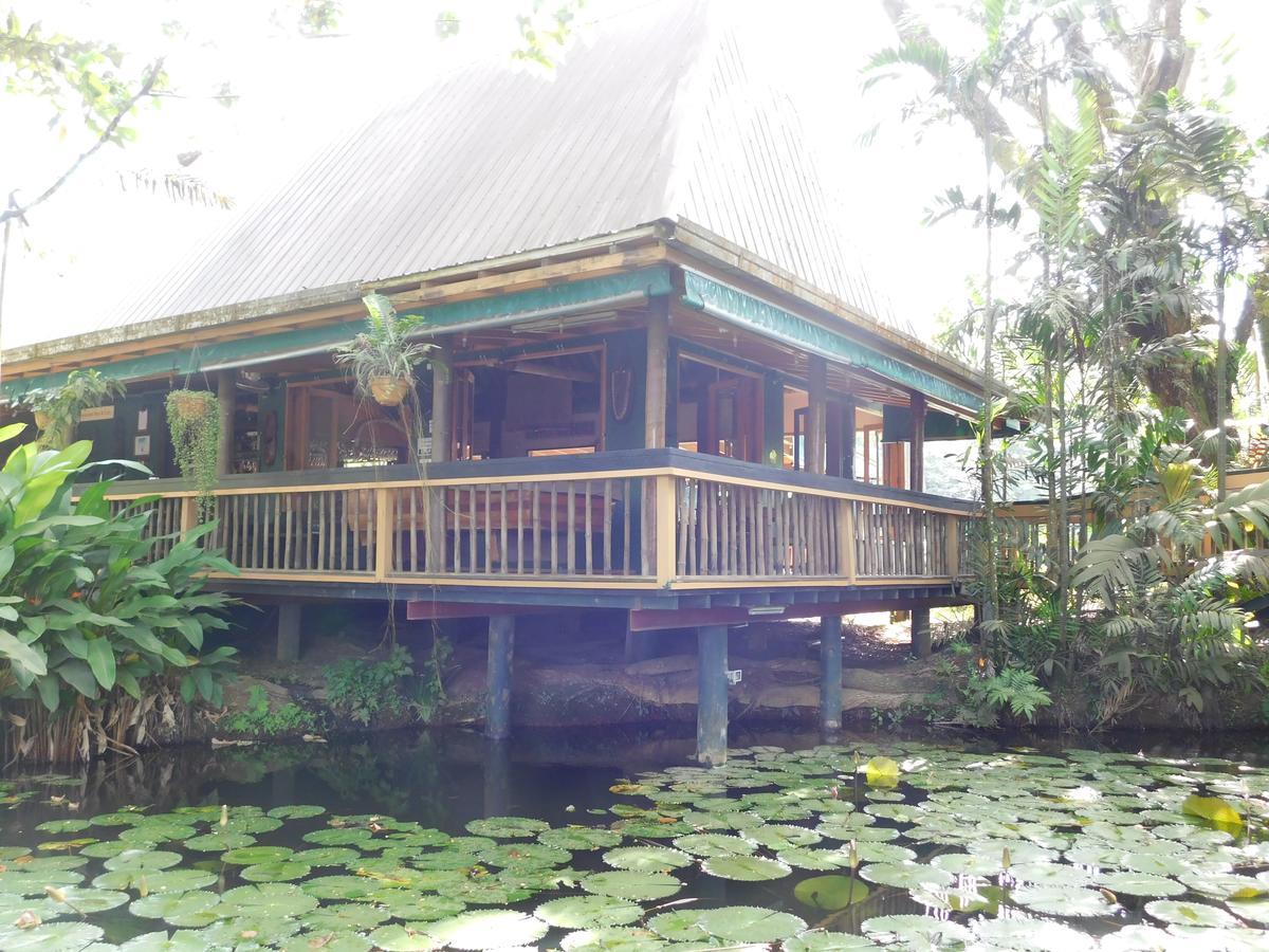 Rainforest Eco Lodge Suva Exteriör bild