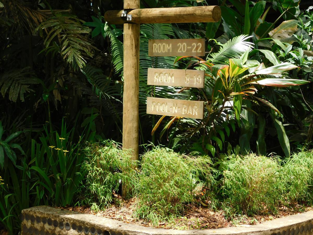 Rainforest Eco Lodge Suva Exteriör bild