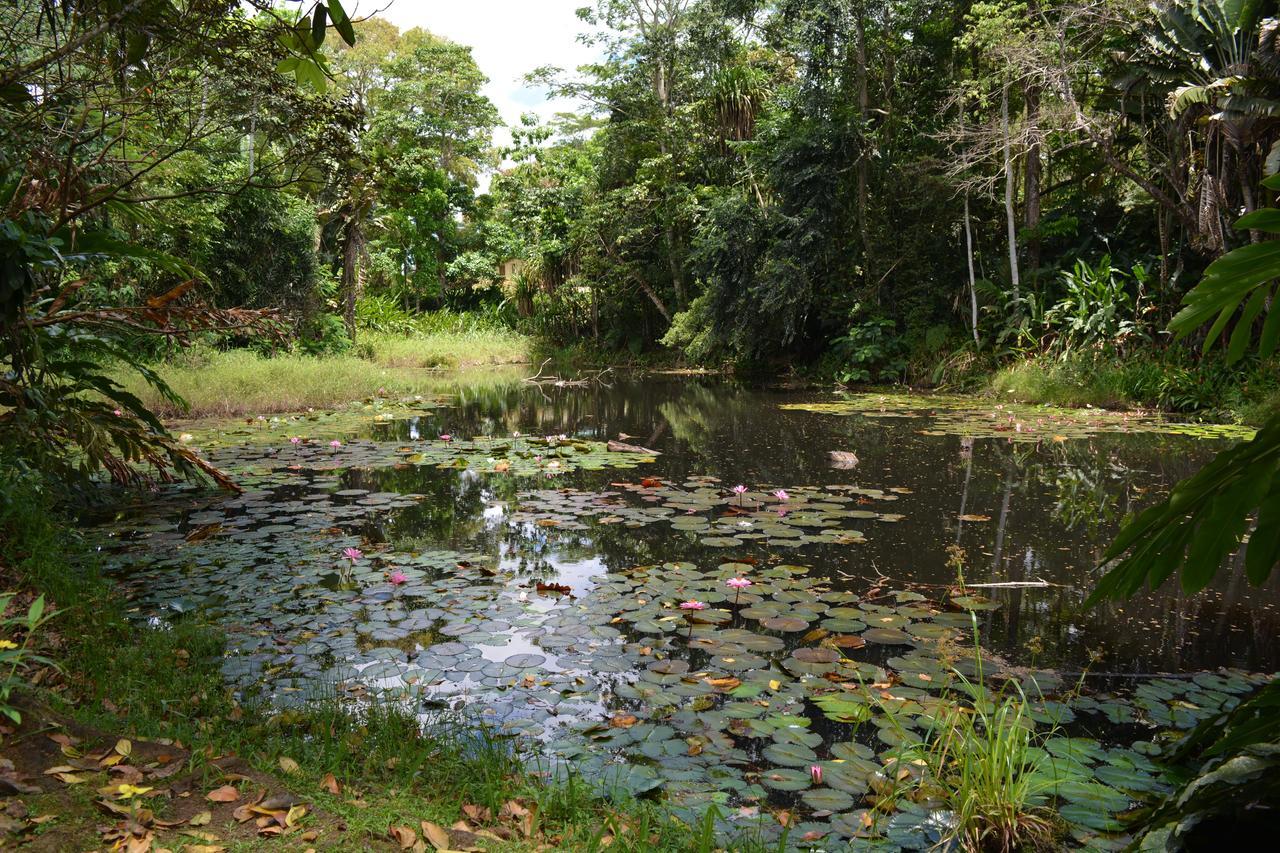 Rainforest Eco Lodge Suva Exteriör bild