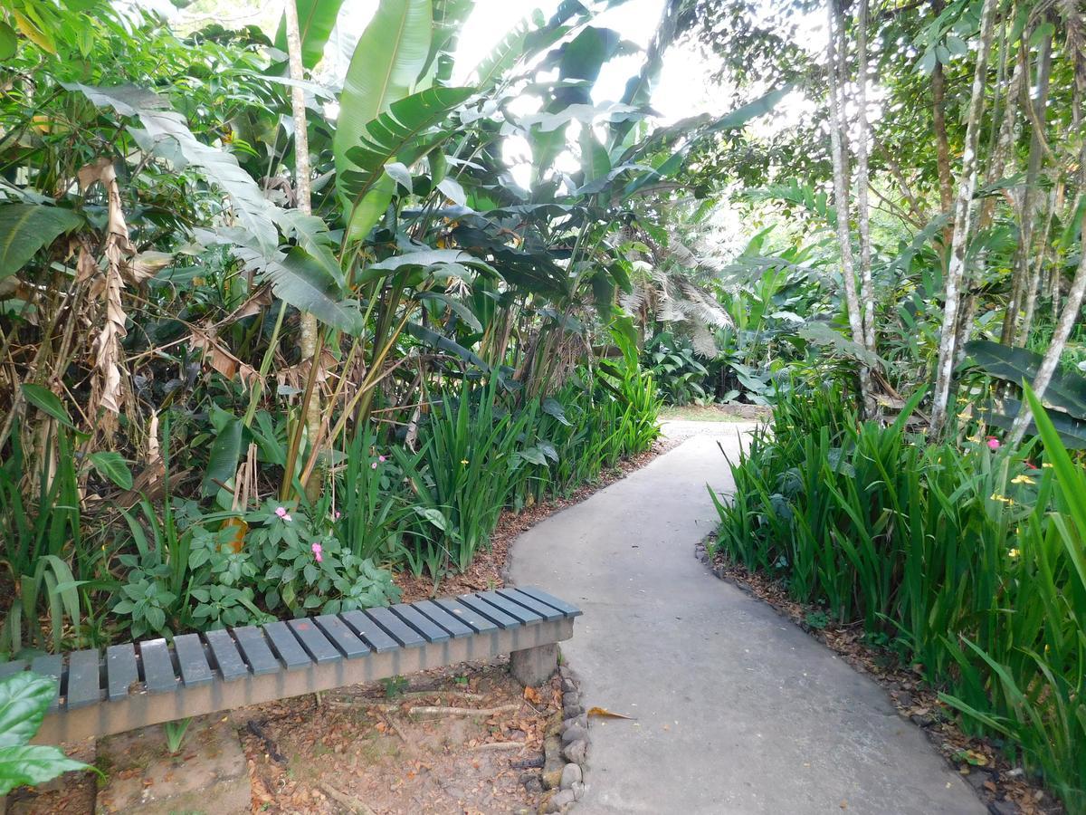 Rainforest Eco Lodge Suva Exteriör bild