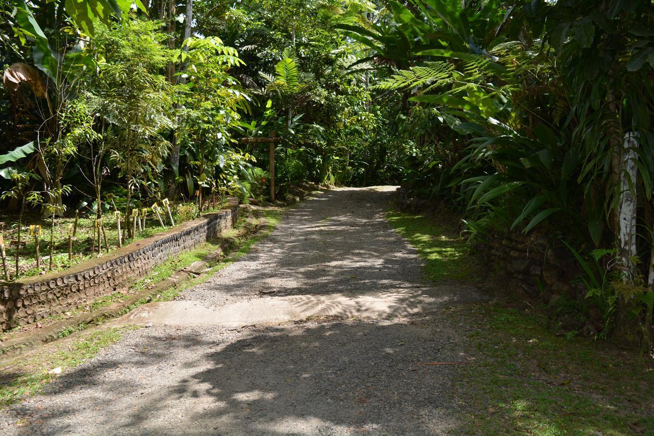 Rainforest Eco Lodge Suva Exteriör bild