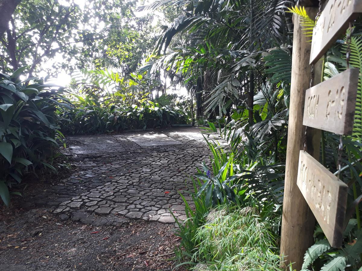 Rainforest Eco Lodge Suva Exteriör bild