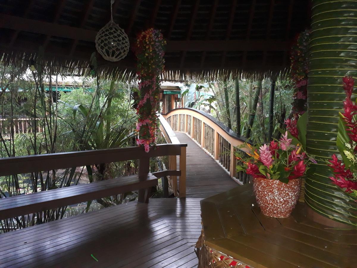 Rainforest Eco Lodge Suva Exteriör bild