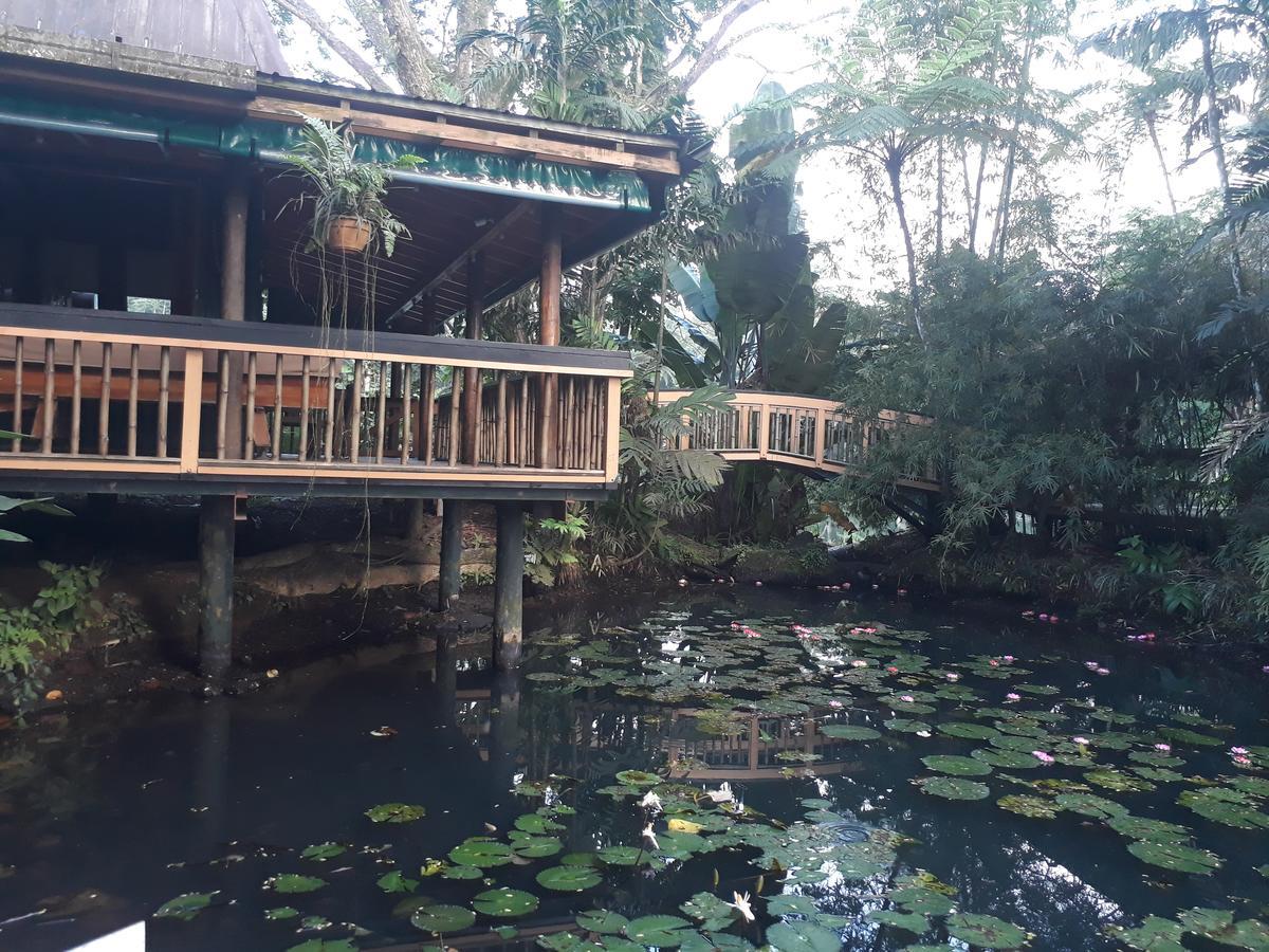 Rainforest Eco Lodge Suva Exteriör bild
