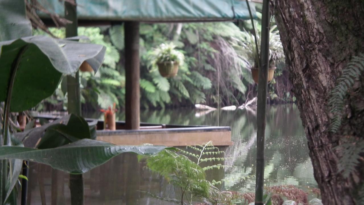 Rainforest Eco Lodge Suva Exteriör bild