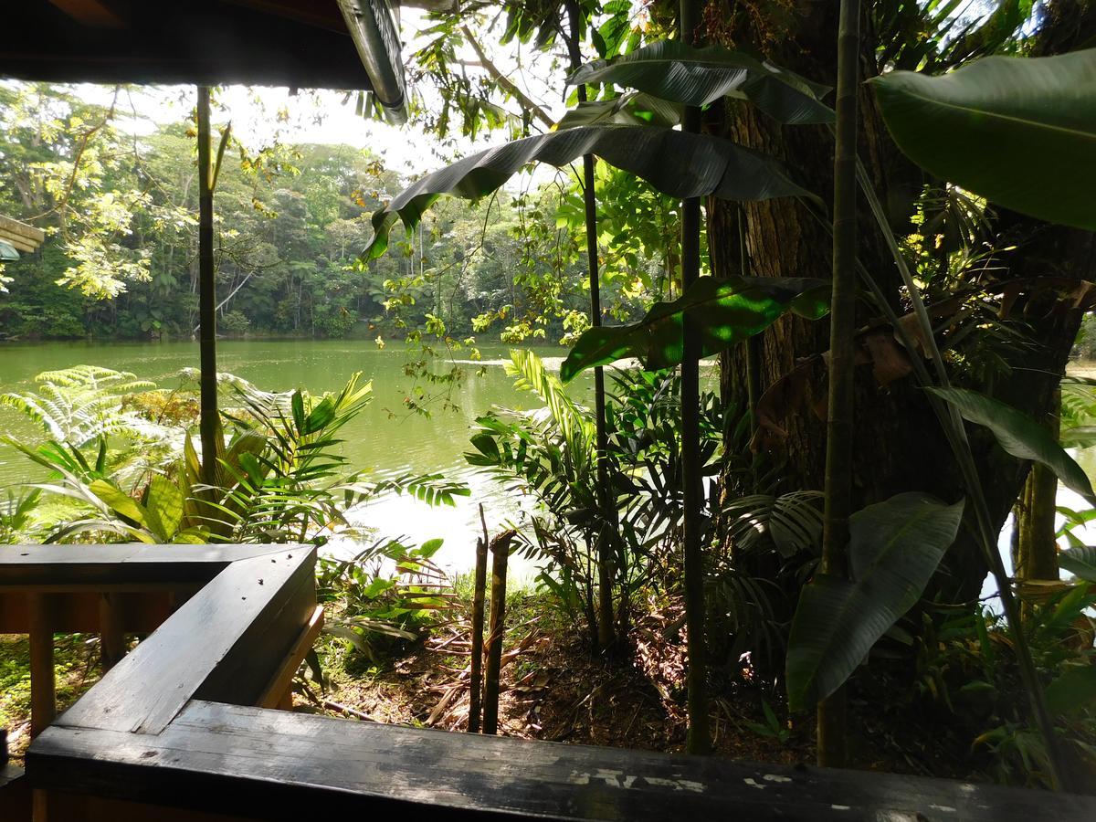 Rainforest Eco Lodge Suva Exteriör bild