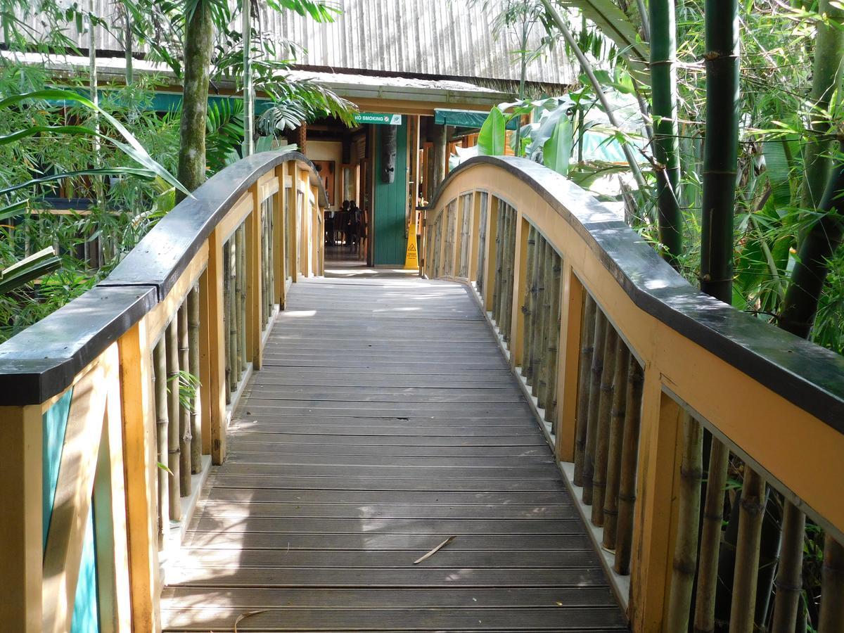 Rainforest Eco Lodge Suva Exteriör bild