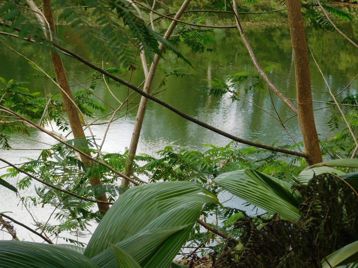 Rainforest Eco Lodge Suva Exteriör bild